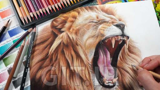 نقاشی حیوانات: چگونه یک شیر واقع‌گرایانه با مداد رنگی بکشیم؟