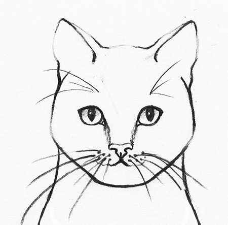 طراحی گربه واقعی